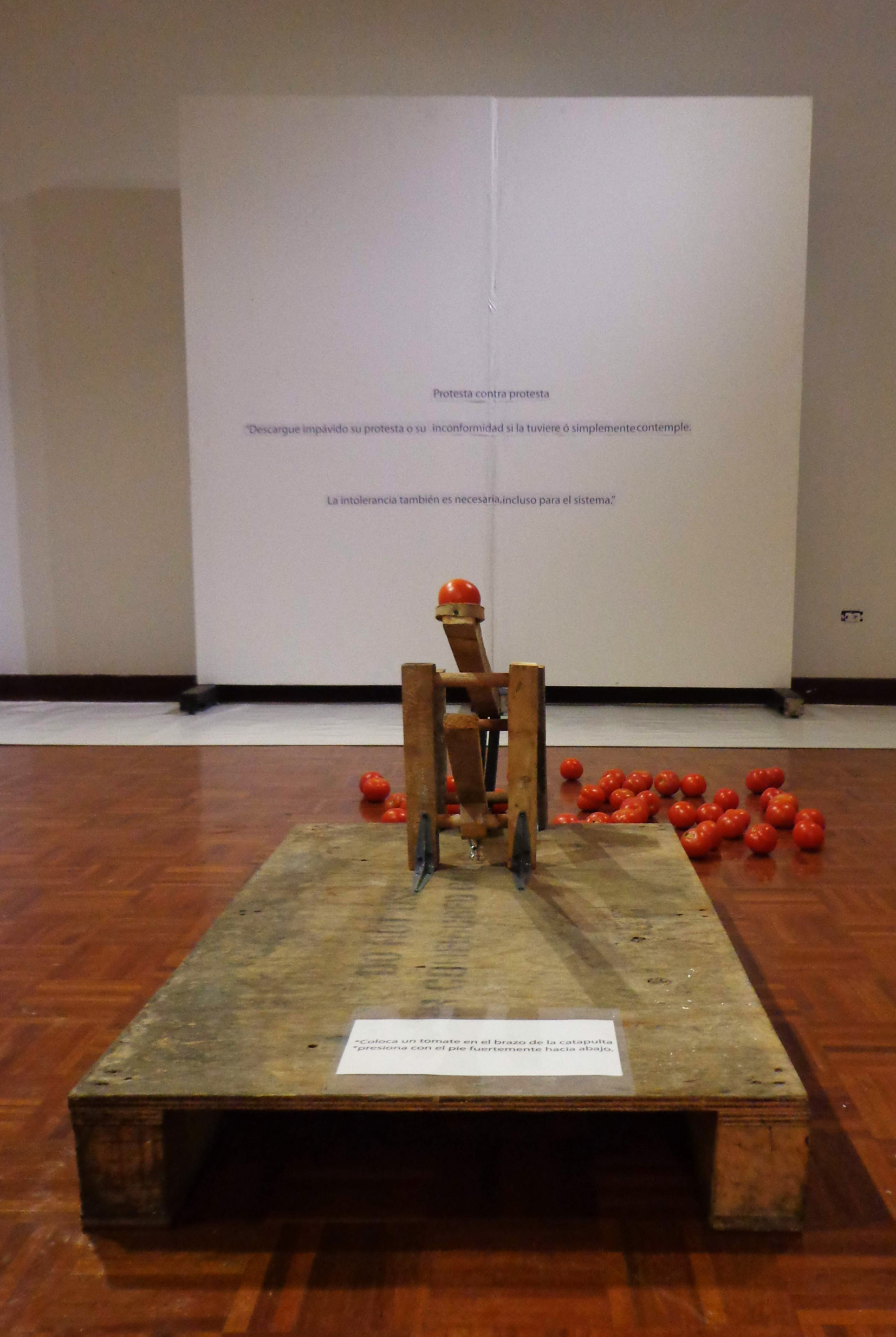 tomate sobre fondo blanco